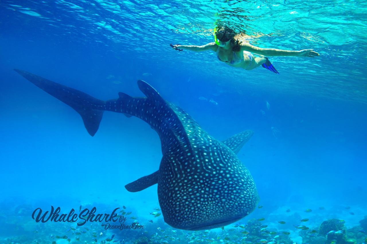 Ocean Beach Maldive 호텔 Maldives 외부 사진