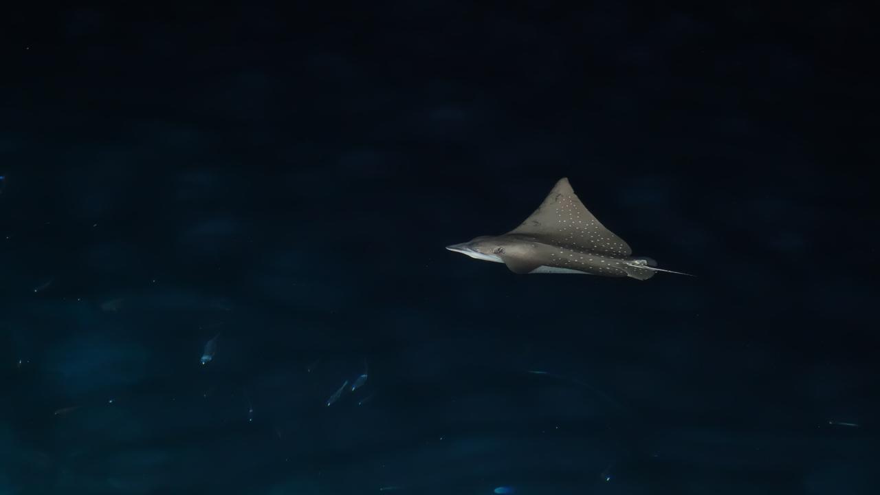 Ocean Beach Maldive 호텔 Maldives 외부 사진